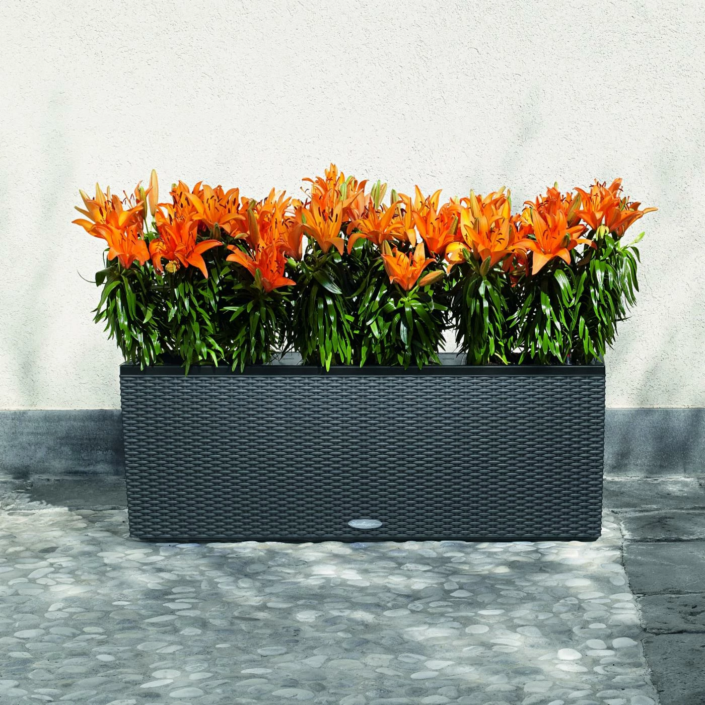 Wholesale π Trough Rectangle Lechuza Trio Cottage 30 Self-Watering Resin Planter β€οΈ 3 Wholesale π Trough Rectangle Lechuza Trio Cottage 30 Self-Watering Resin Planter β€οΈ - Image 3