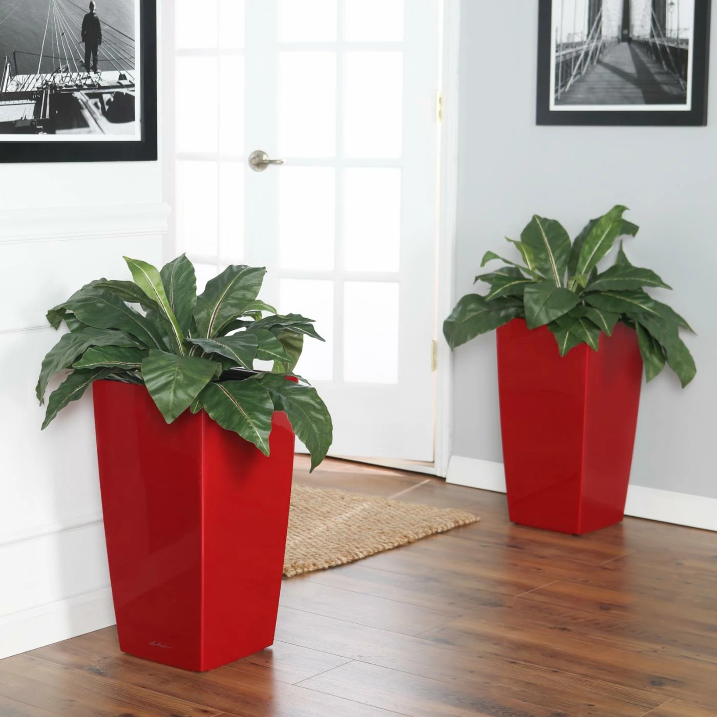 Discount π Planter Pots Square Lechuza Cubico Self-Watering Indoor Planter β¨ 2 Discount π Planter Pots Square Lechuza Cubico Self-Watering Indoor Planter β¨ - Image 2