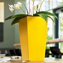 Best reviews of 😍 Planter Pots Lechuza Maxi Cubi Self-Watering Planter 🔥 -Garden Planters & Plant Pots Sales Shop detailPML033