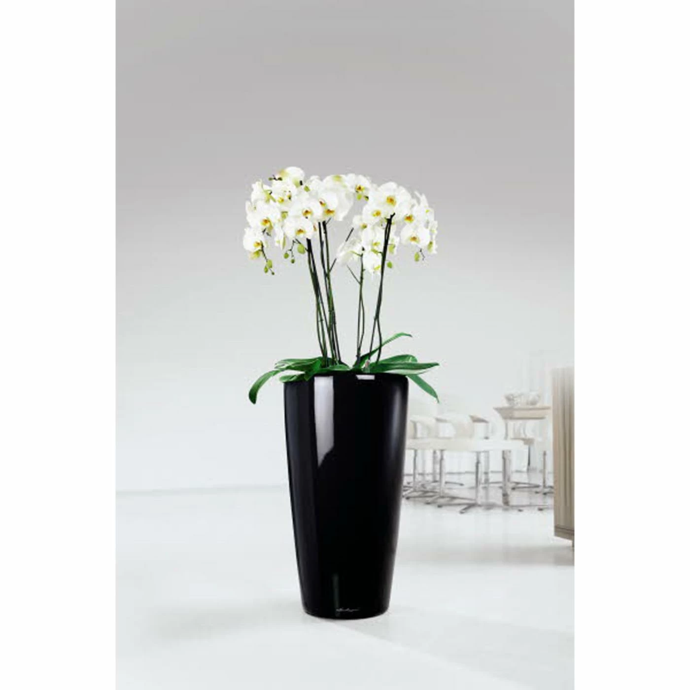 Cheap ✨ Planter Pots Lechuza Rondo Self-Watering Planter ✔️ 3 Cheap ✨ Planter Pots Lechuza Rondo Self-Watering Planter ✔️ - Image 3