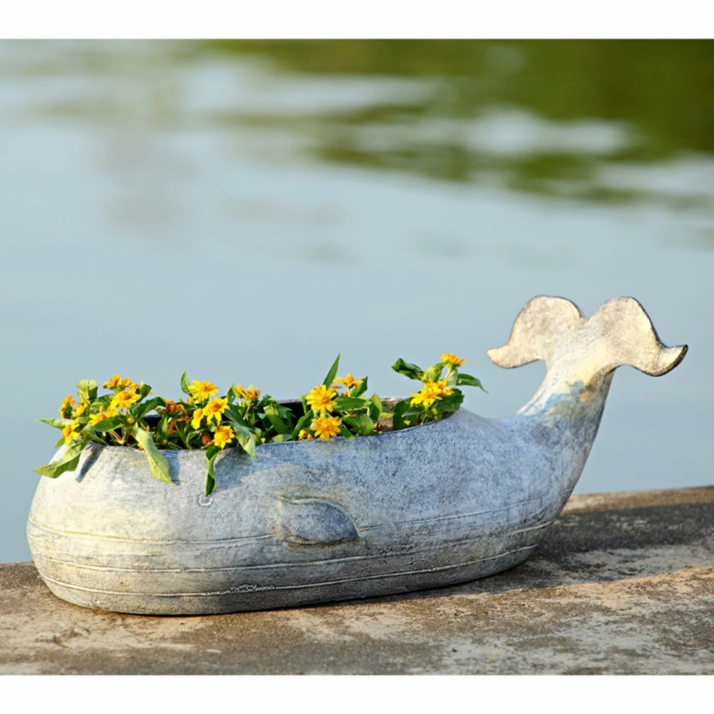 Cheap π Novelty San Pacific International Whale Planter 𧨠3 Cheap π Novelty San Pacific International Whale Planter 𧨠- Image 3