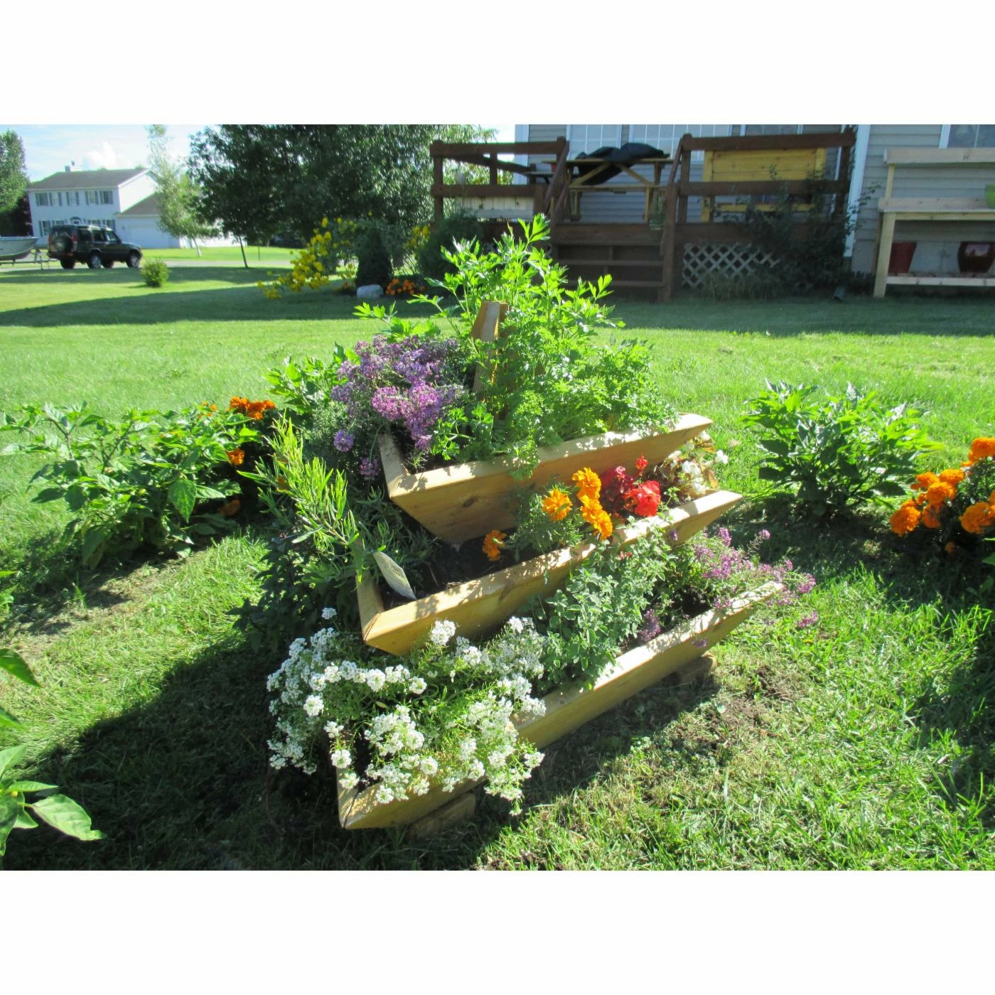 Flash Sale π₯° Smart Carts Novelty Plant Pyramid Level 3 π€© 3 Flash Sale π₯° Smart Carts Novelty Plant Pyramid Level 3 π€© - Image 3