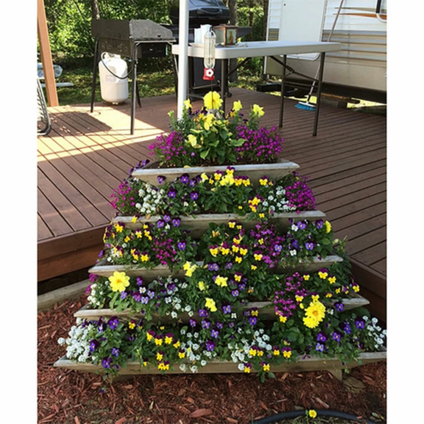 Cheapest π Smart Carts Novelty Plant Pyramid Level 5 β 3 Cheapest π Smart Carts Novelty Plant Pyramid Level 5 β - Image 3