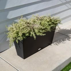 Promo 💯 Veradek Midori Trough Planter ⭐ -Garden Planters & Plant Pots Sales Shop detailVERA003