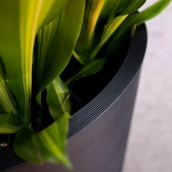 Budget ⌛ Commercial Veradek Pro Series Curve 30 In. Grooved Outdoor Round Planter ✨ -Garden Planters & Plant Pots Sales Shop detailVERA046