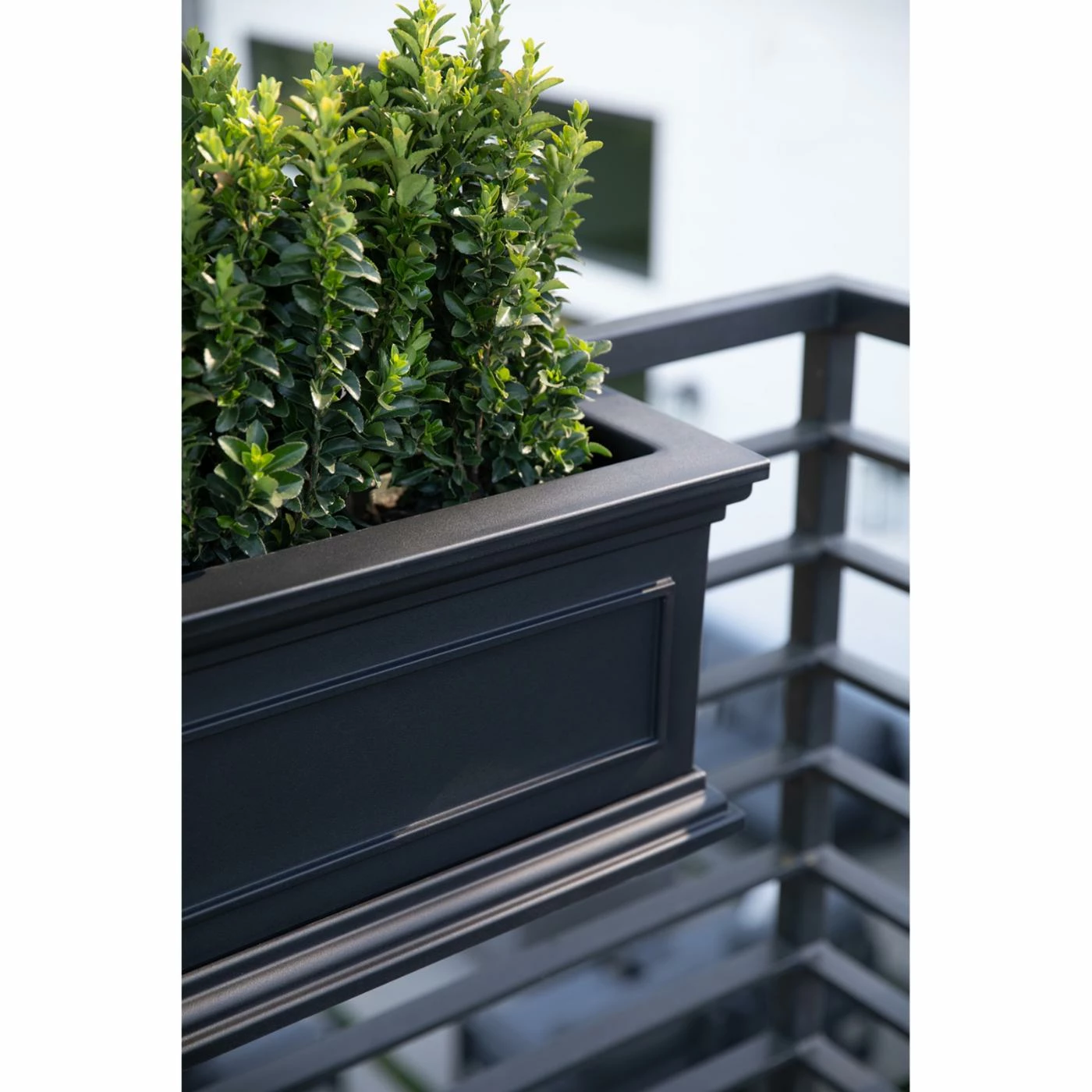 Deals π Commercial Veradek Brixton Railing Window Box Planter β 3 Deals π Commercial Veradek Brixton Railing Window Box Planter β - Image 3