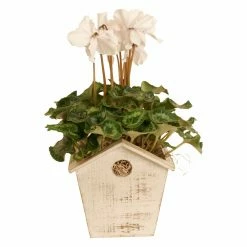 Hot Sale ✨ Novelty Wald Import Rustic Wood Birdhouse Planter 💯 -Garden Planters & Plant Pots Sales Shop detailWALD308