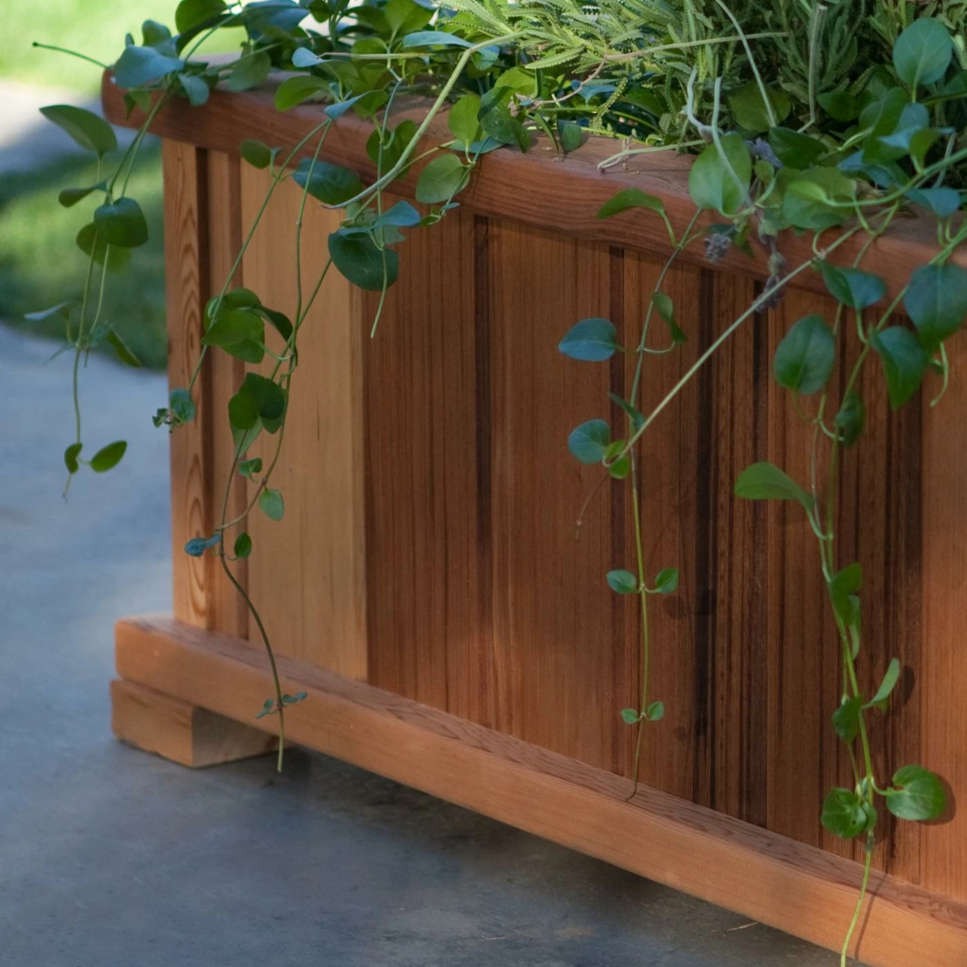 Hot Sale ๐ฏ Commercial Wood Country Rectangle Cedar Wood Boise Patio Planter Box โจ 3 Hot Sale ๐ฏ Commercial Wood Country Rectangle Cedar Wood Boise Patio Planter Box โจ - Image 3