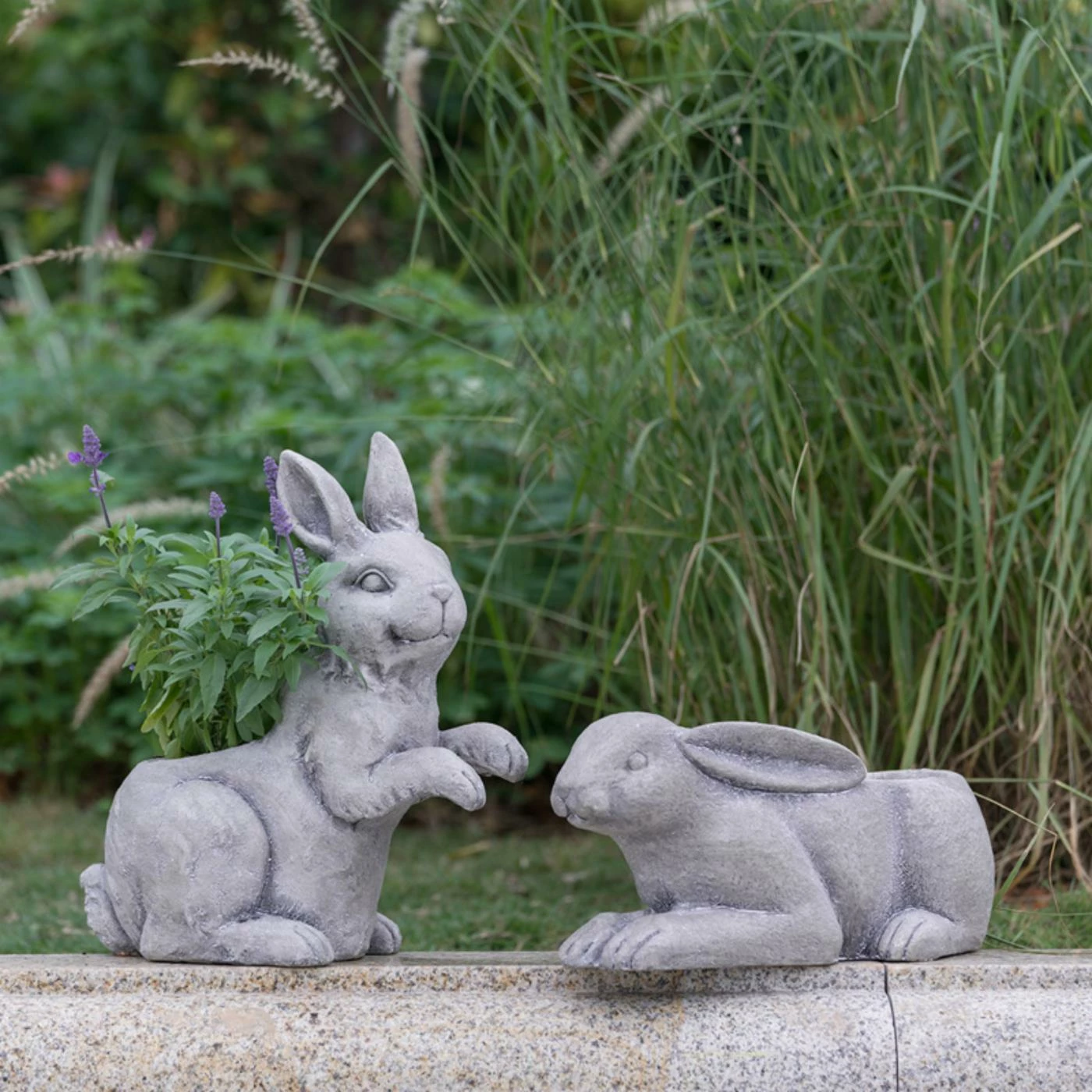 Budget π₯ A & B Home Novelty A & B Home Manon Rabbit Planter π 2 Budget π₯ A & B Home Novelty A & B Home Manon Rabbit Planter π - Image 2