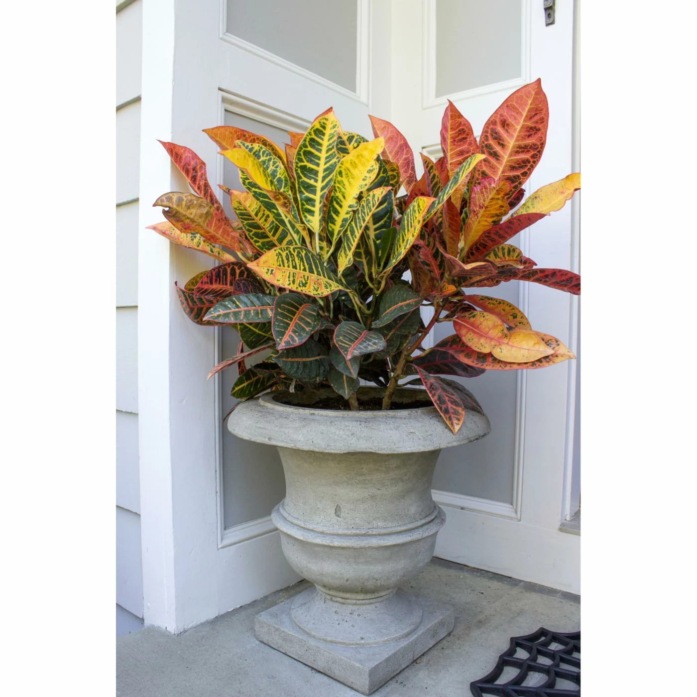 Hot Sale ๐ Urn Campania International Small Williamsburg Wren Cast Stone Planter ๐ 2 Hot Sale ๐ Urn Campania International Small Williamsburg Wren Cast Stone Planter ๐ - Image 2