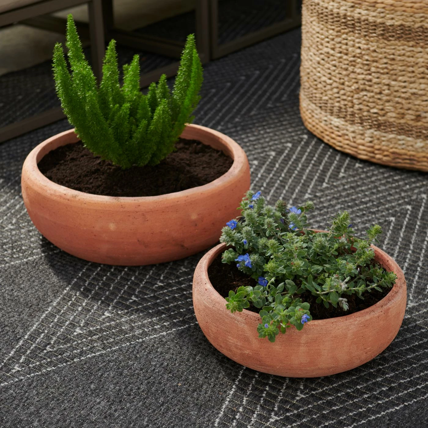 Top 10 β Planter Sets Campania International Annalise Planter - Set Of 2 - Terra Cotta π 2 Top 10 β Planter Sets Campania International Annalise Planter - Set Of 2 - Terra Cotta π - Image 2
