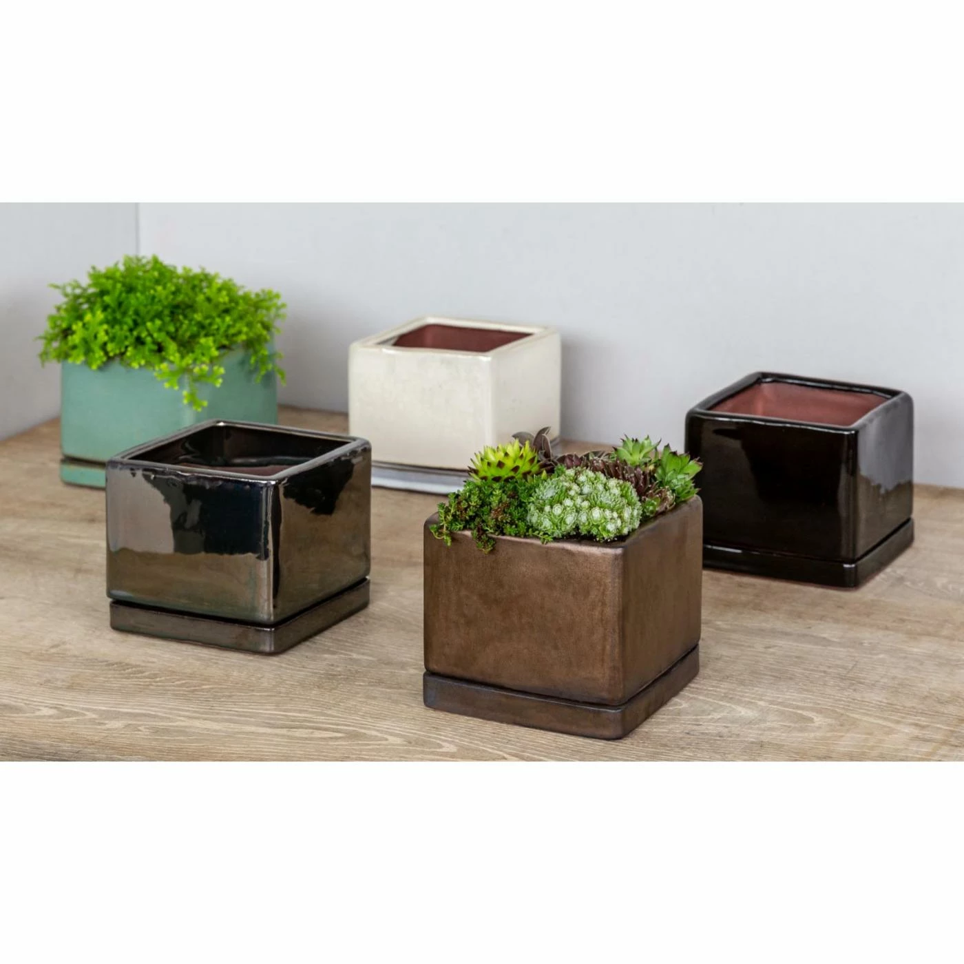 Deals โ๏ธ Planter Pots Campania International I/O Series Cube - Set Of 6 ๐ 2 Deals โ๏ธ Planter Pots Campania International I/O Series Cube - Set Of 6 ๐ - Image 2