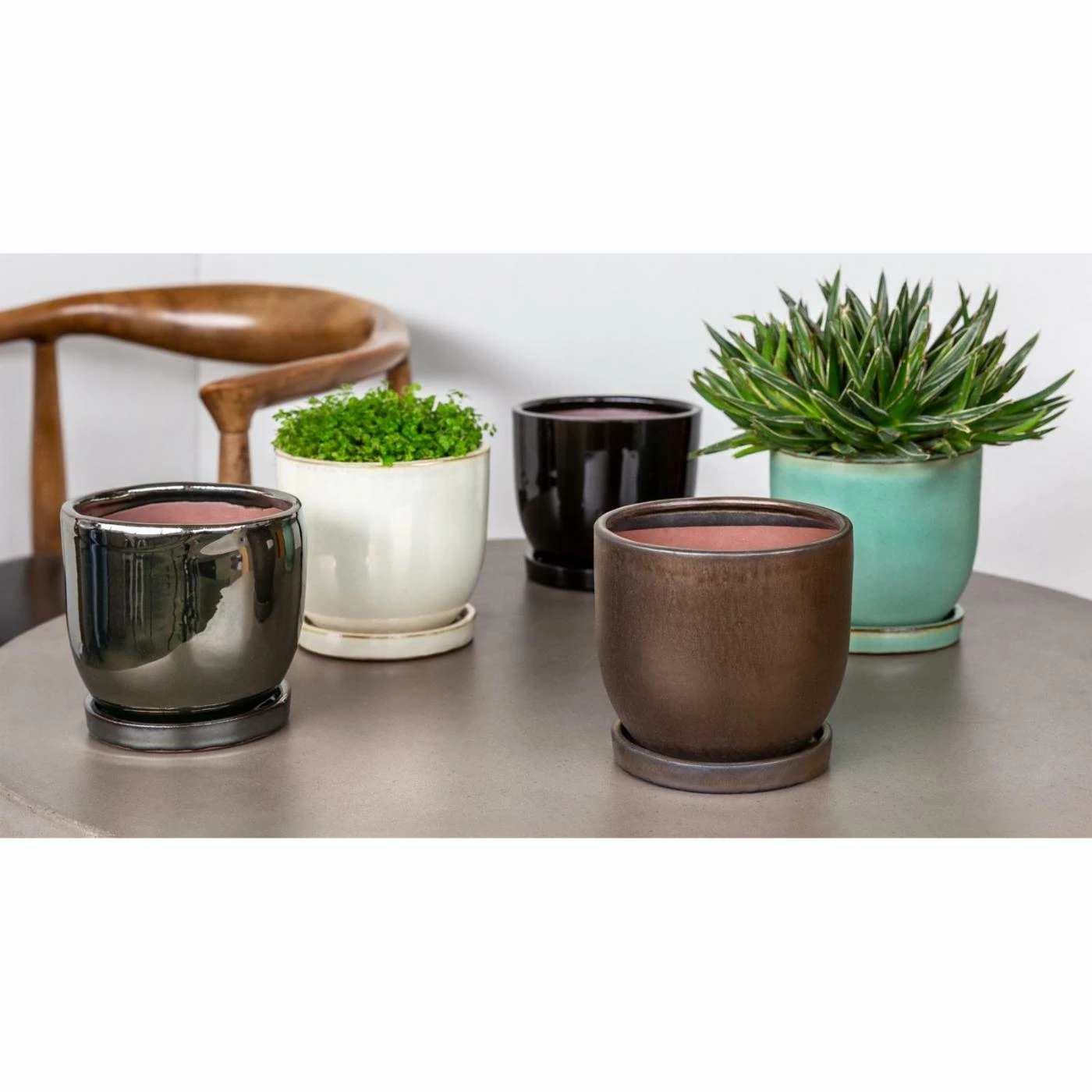 Deals โ Planter Pots Campania International I/O Series Cup Planter - Set Of 6 ๐ฏ 2 Deals โ Planter Pots Campania International I/O Series Cup Planter - Set Of 6 ๐ฏ - Image 2