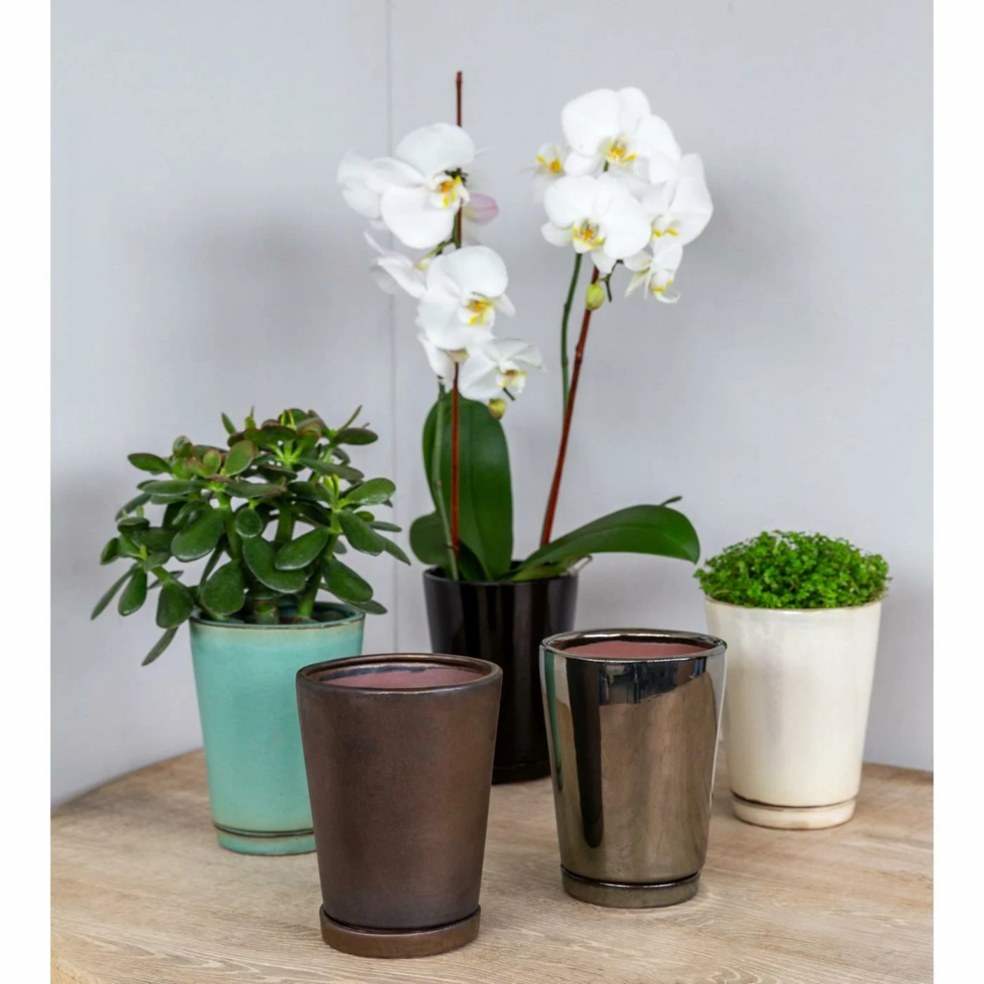 Budget ๐คฉ Planter Pots Campania International I/O Series Tapered Planter - Set Of 6 ๐ 2 Budget ๐คฉ Planter Pots Campania International I/O Series Tapered Planter - Set Of 6 ๐ - Image 2