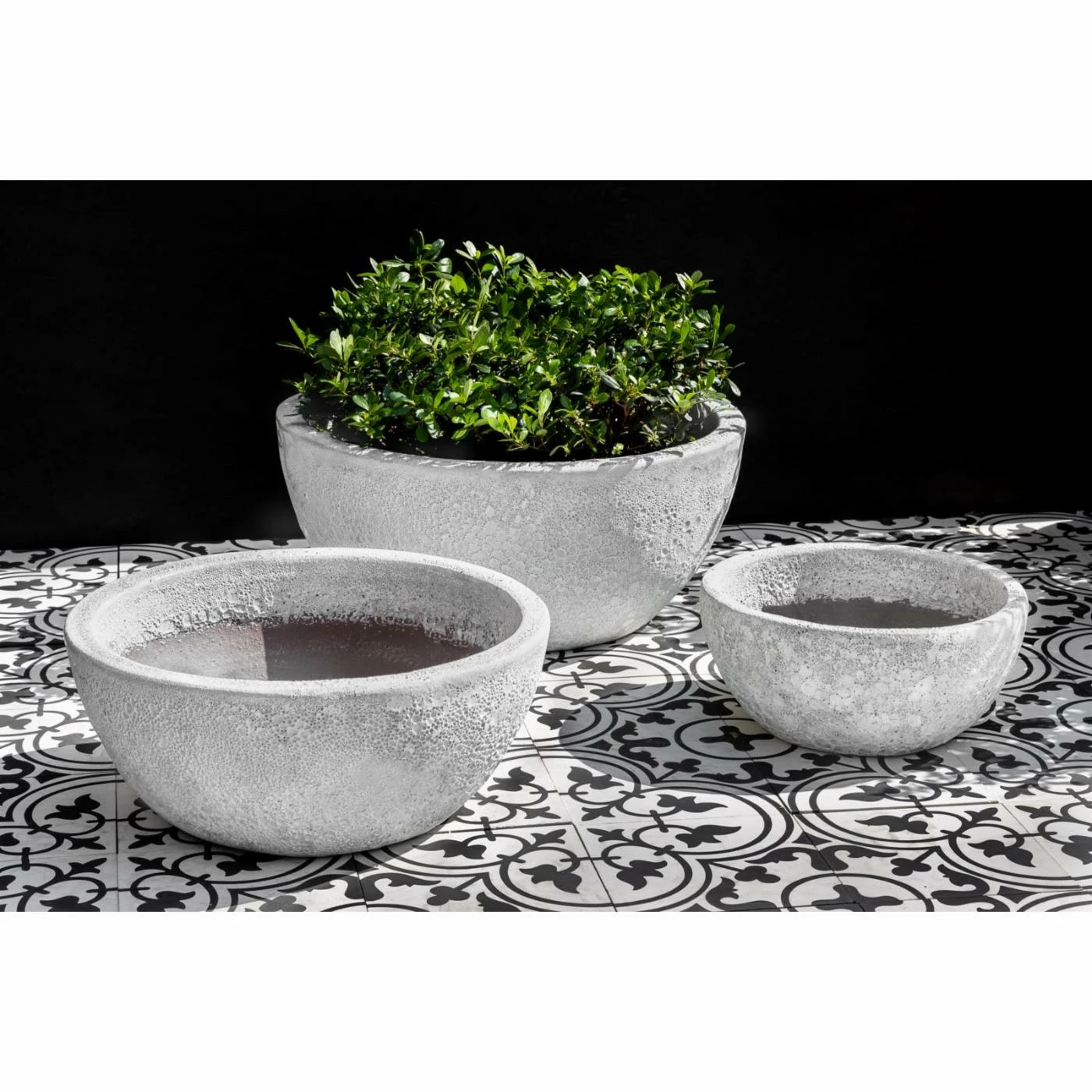 Best reviews of 𧨠Planter Sets Campania International Mira Bowl Planter - Set Of 3 π 2 Best reviews of 𧨠Planter Sets Campania International Mira Bowl Planter - Set Of 3 π - Image 2