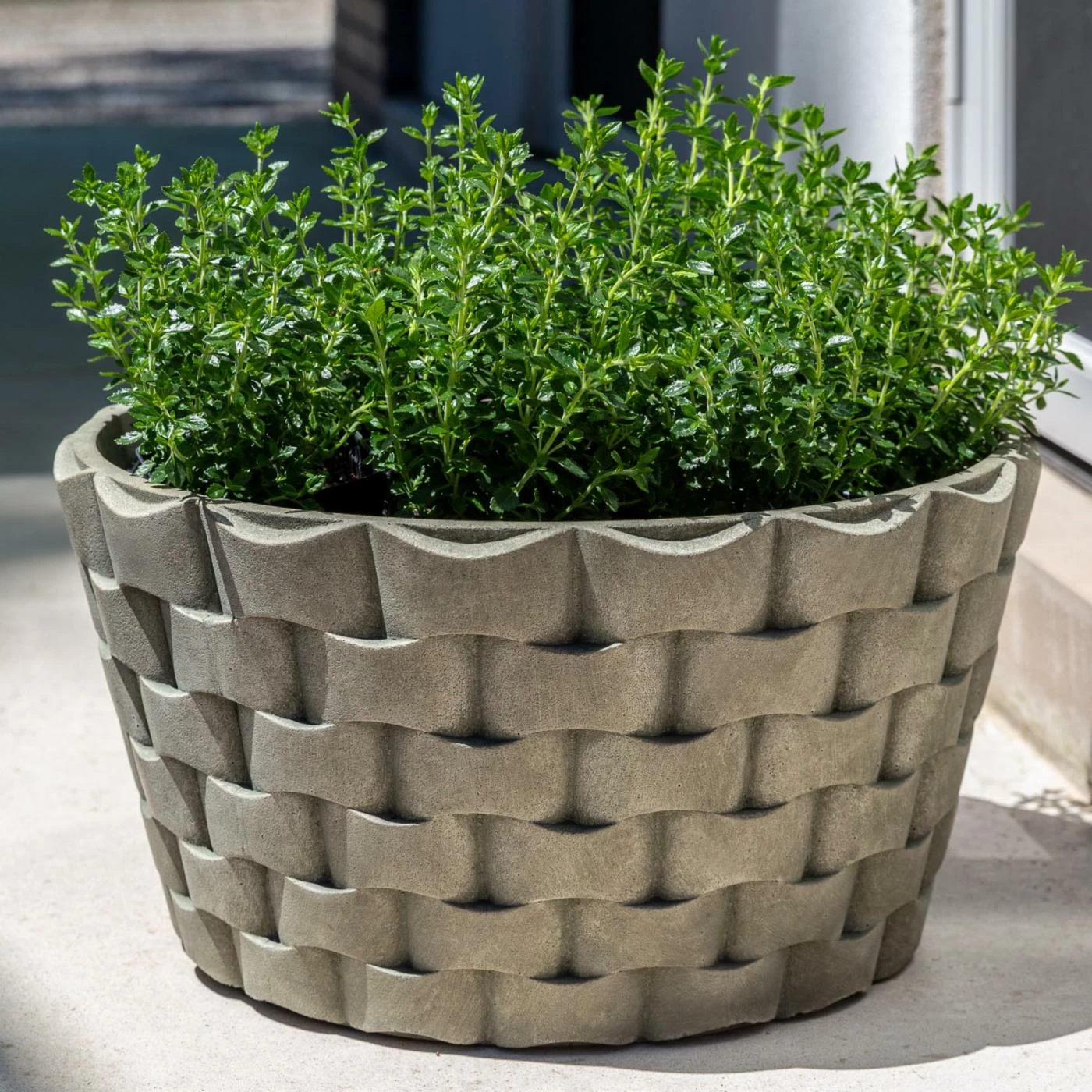 Cheap π Planter Pots Campania International M Weave Low Round Planter π 2 Cheap π Planter Pots Campania International M Weave Low Round Planter π - Image 2