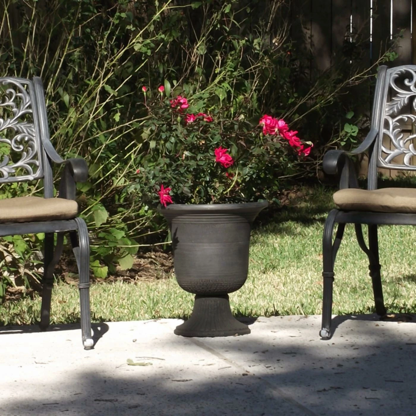 Coupon π Exaco Modena Urn β€οΈ 2 Coupon π Exaco Modena Urn β€οΈ - Image 2