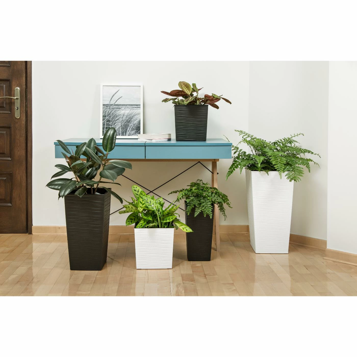 Outlet 𧨠Planter Pots Kasamodern Urban Planter Cubic Ribbed Modern Planter With Insert π 2 Outlet 𧨠Planter Pots Kasamodern Urban Planter Cubic Ribbed Modern Planter With Insert π - Image 2
