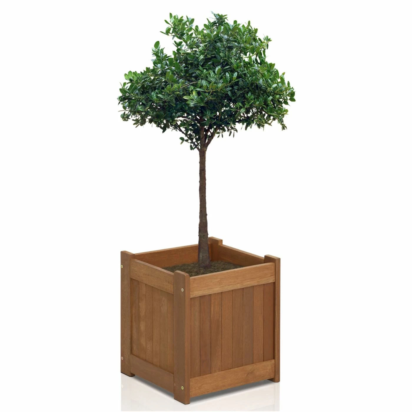 Budget โจ Planter Pots Furinno Tioman Hardwood Flower Box ๐คฉ 2 Budget โจ Planter Pots Furinno Tioman Hardwood Flower Box ๐คฉ - Image 2