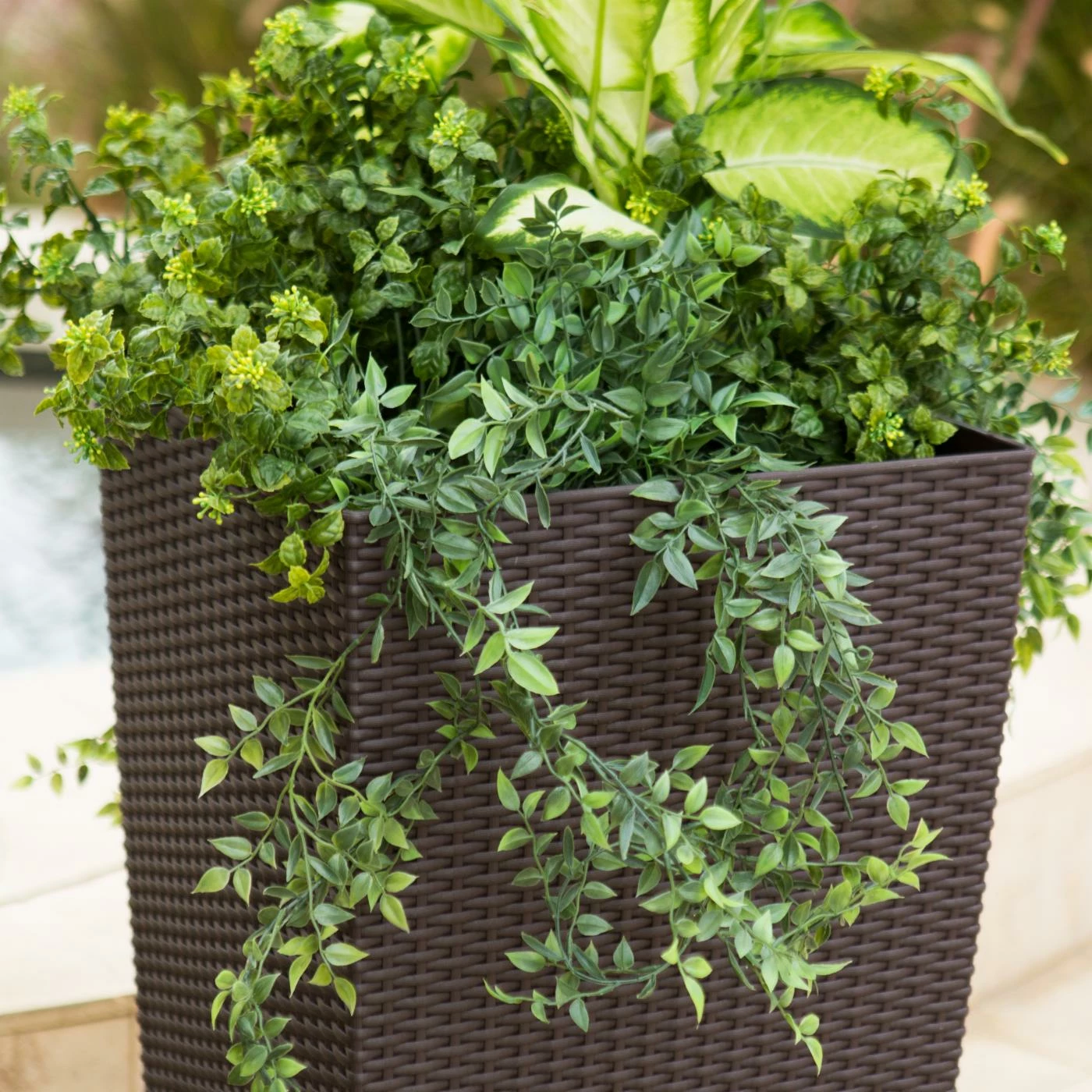 Best Pirce π₯ Planter Pots Square Lechuza Cubico Cottage Self-Watering Resin Planter 𧨠2 Best Pirce π₯ Planter Pots Square Lechuza Cubico Cottage Self-Watering Resin Planter 𧨠- Image 2