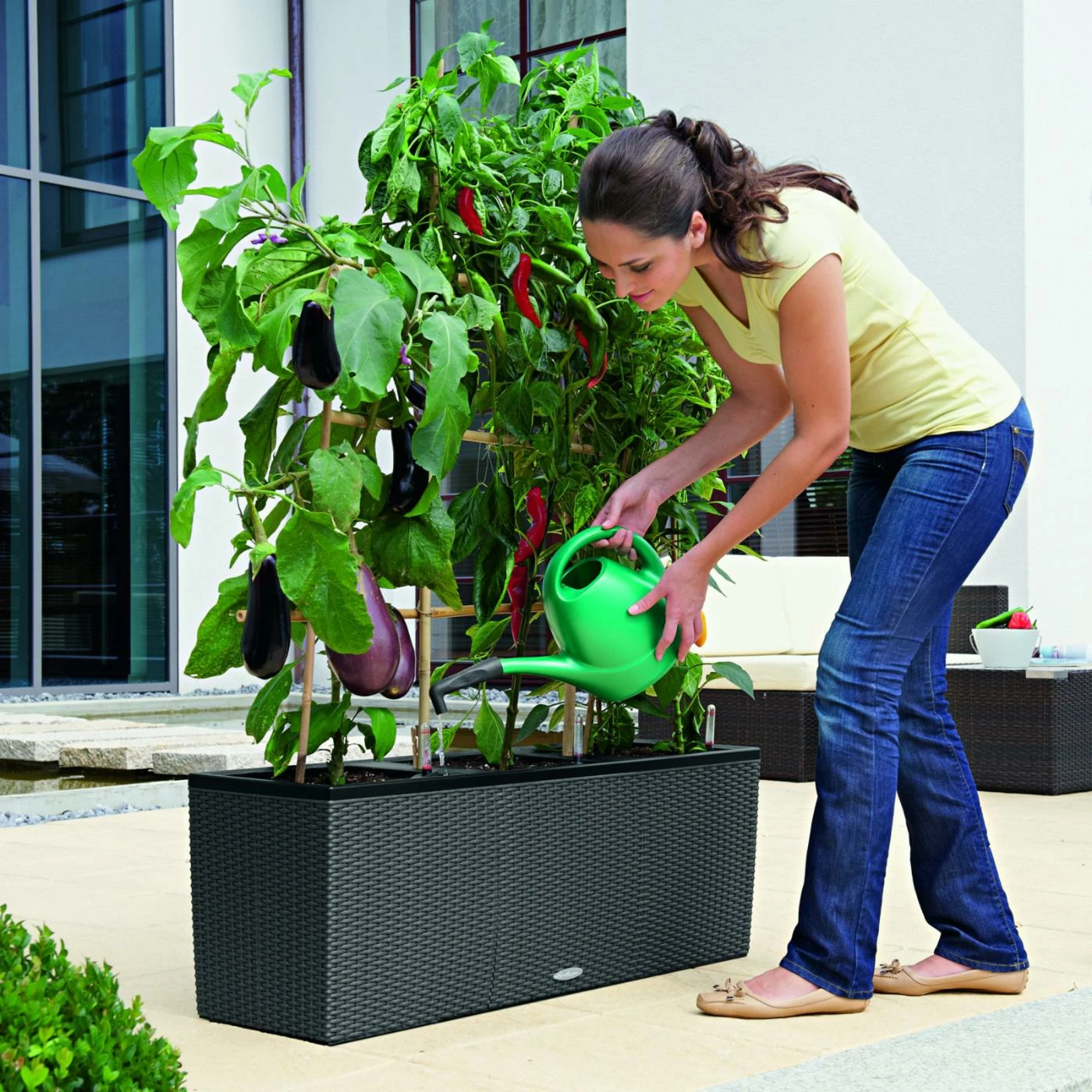 Wholesale π Trough Rectangle Lechuza Trio Cottage 30 Self-Watering Resin Planter β€οΈ 2 Wholesale π Trough Rectangle Lechuza Trio Cottage 30 Self-Watering Resin Planter β€οΈ - Image 2