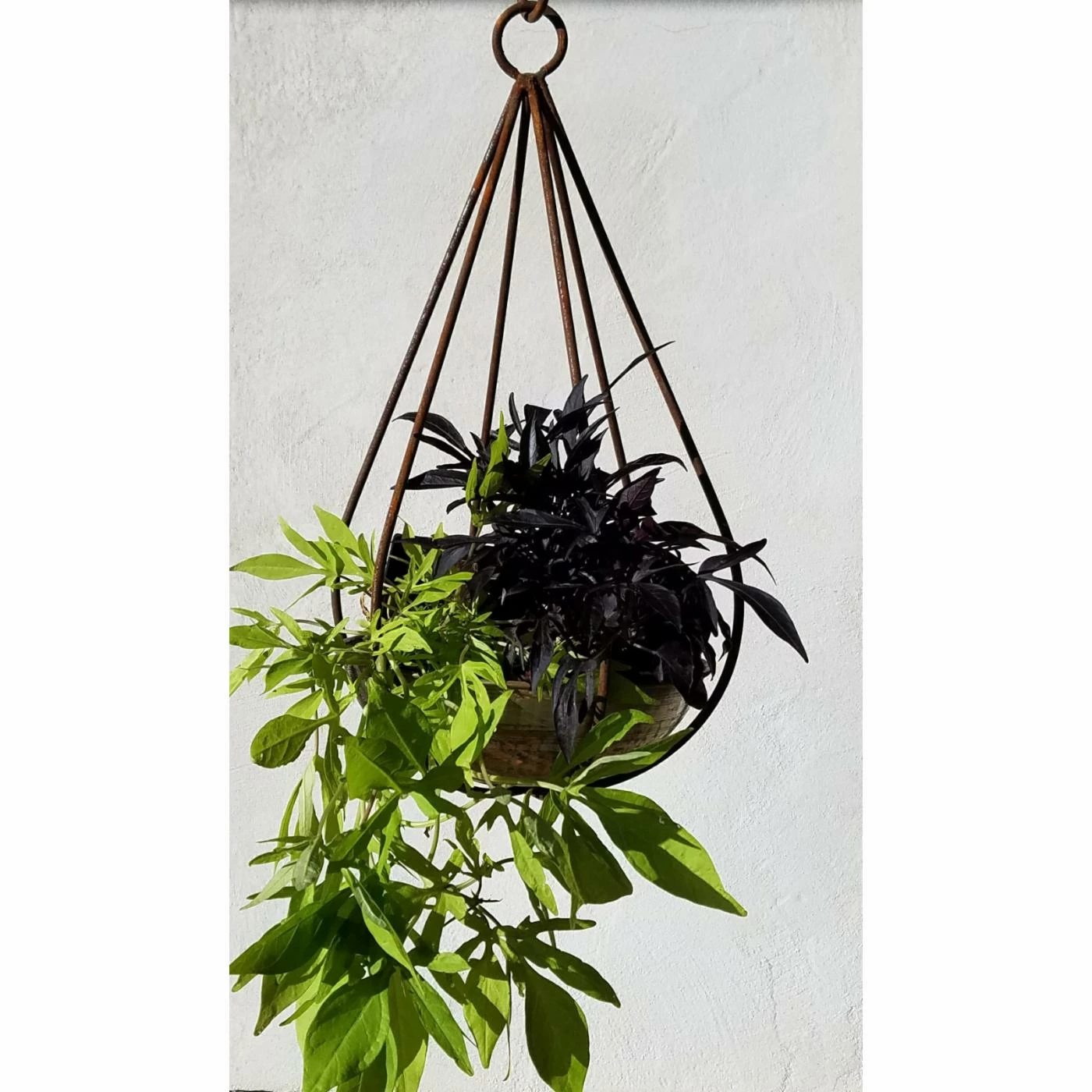 Top 10 ๐ Hanging Passage Handmade Teardrop And Planter ๐งจ 2 Top 10 ๐ Hanging Passage Handmade Teardrop And Planter ๐งจ - Image 2