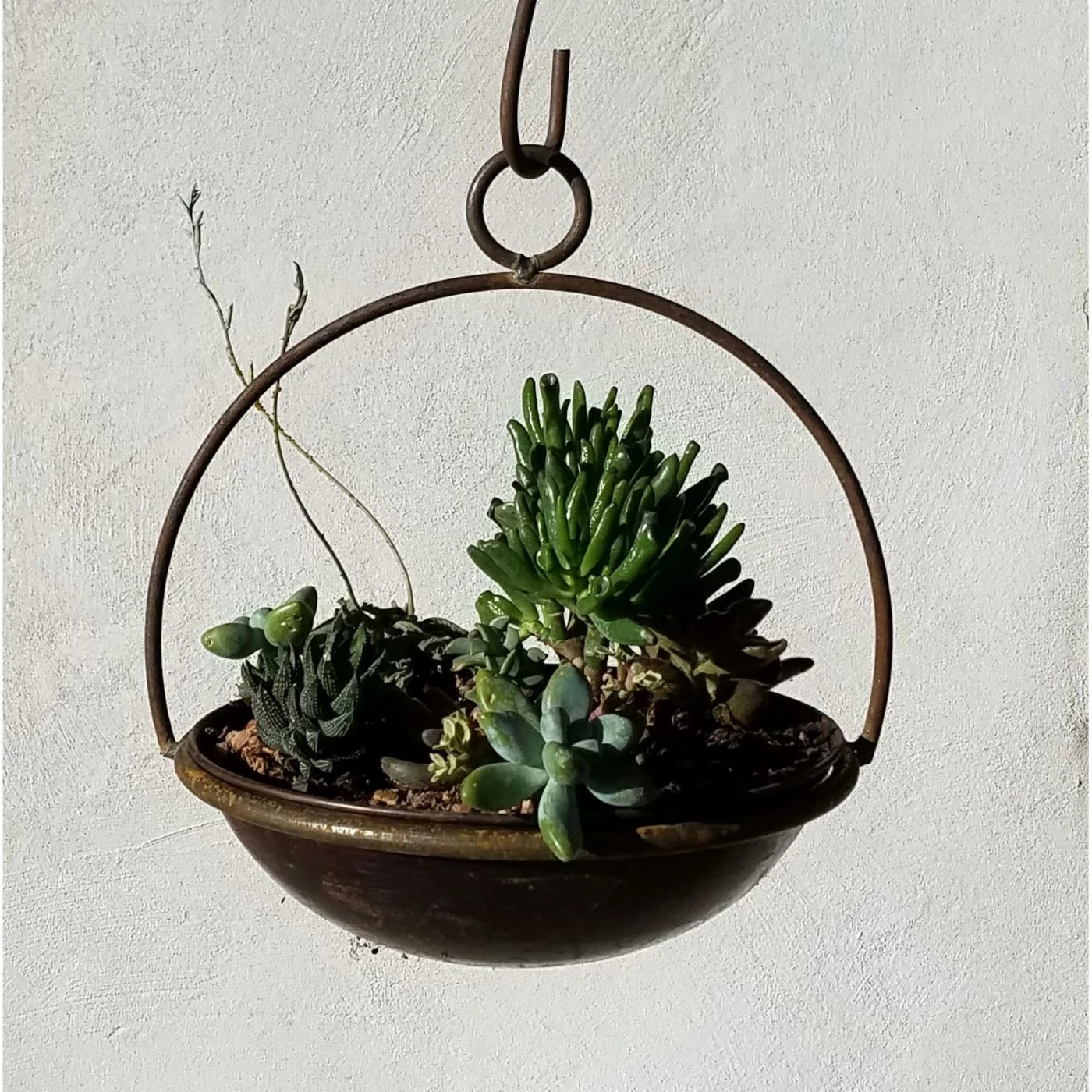 Hot Sale โจ Hanging Passage Handmade Circular Frame And Planter ๐คฉ 2 Hot Sale โจ Hanging Passage Handmade Circular Frame And Planter ๐คฉ - Image 2