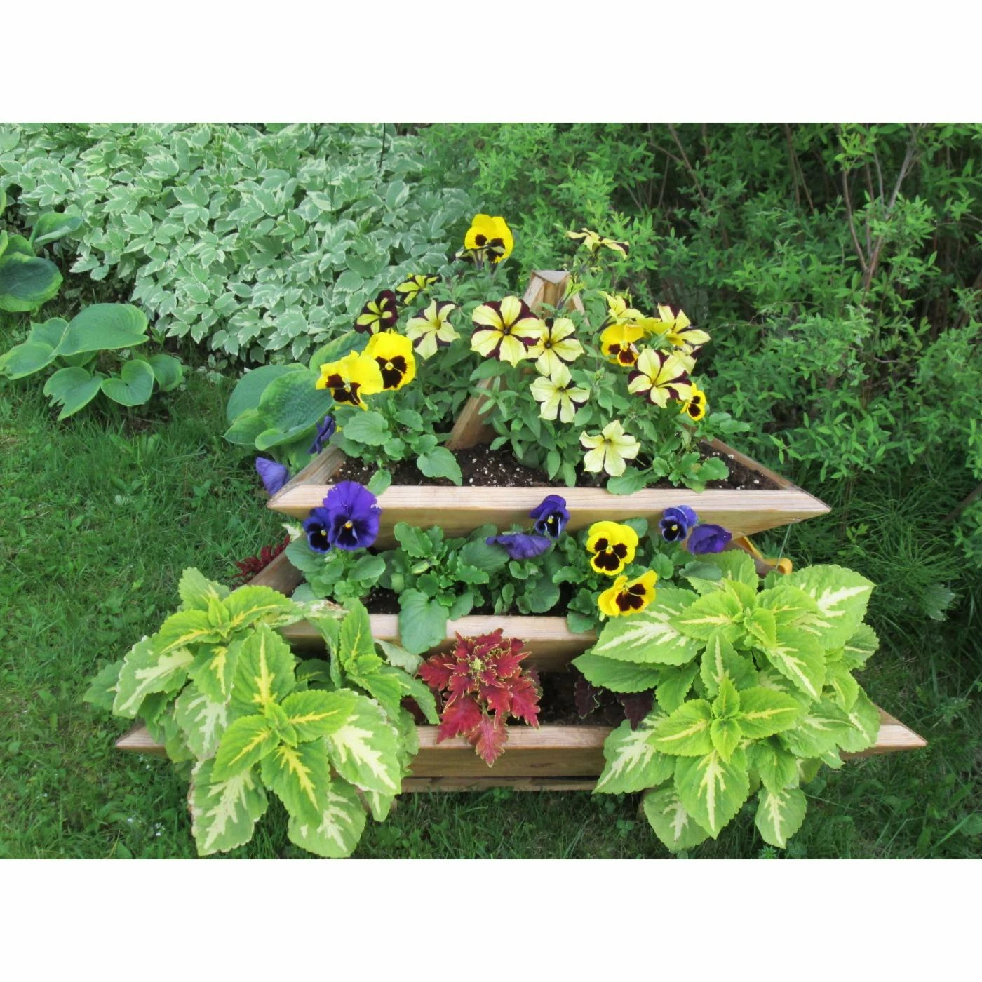 Flash Sale π₯° Smart Carts Novelty Plant Pyramid Level 3 π€© 2 Flash Sale π₯° Smart Carts Novelty Plant Pyramid Level 3 π€© - Image 2