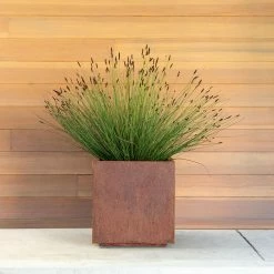 Budget 🤩 Commercial Veradek Metallic Series Cube Planter - Corten Steel 😍 -Garden Planters & Plant Pots Sales Shop inuseVERA021