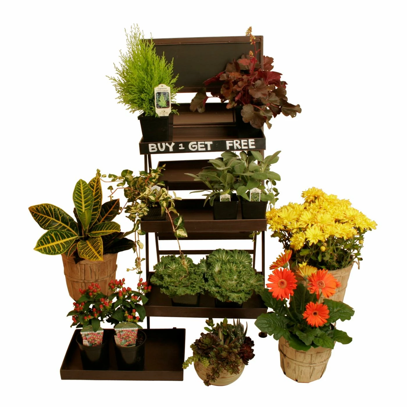 Wholesale π Novelty Wald Import Metal Plant Stand With Chalkboard π 2 Wholesale π Novelty Wald Import Metal Plant Stand With Chalkboard π - Image 2