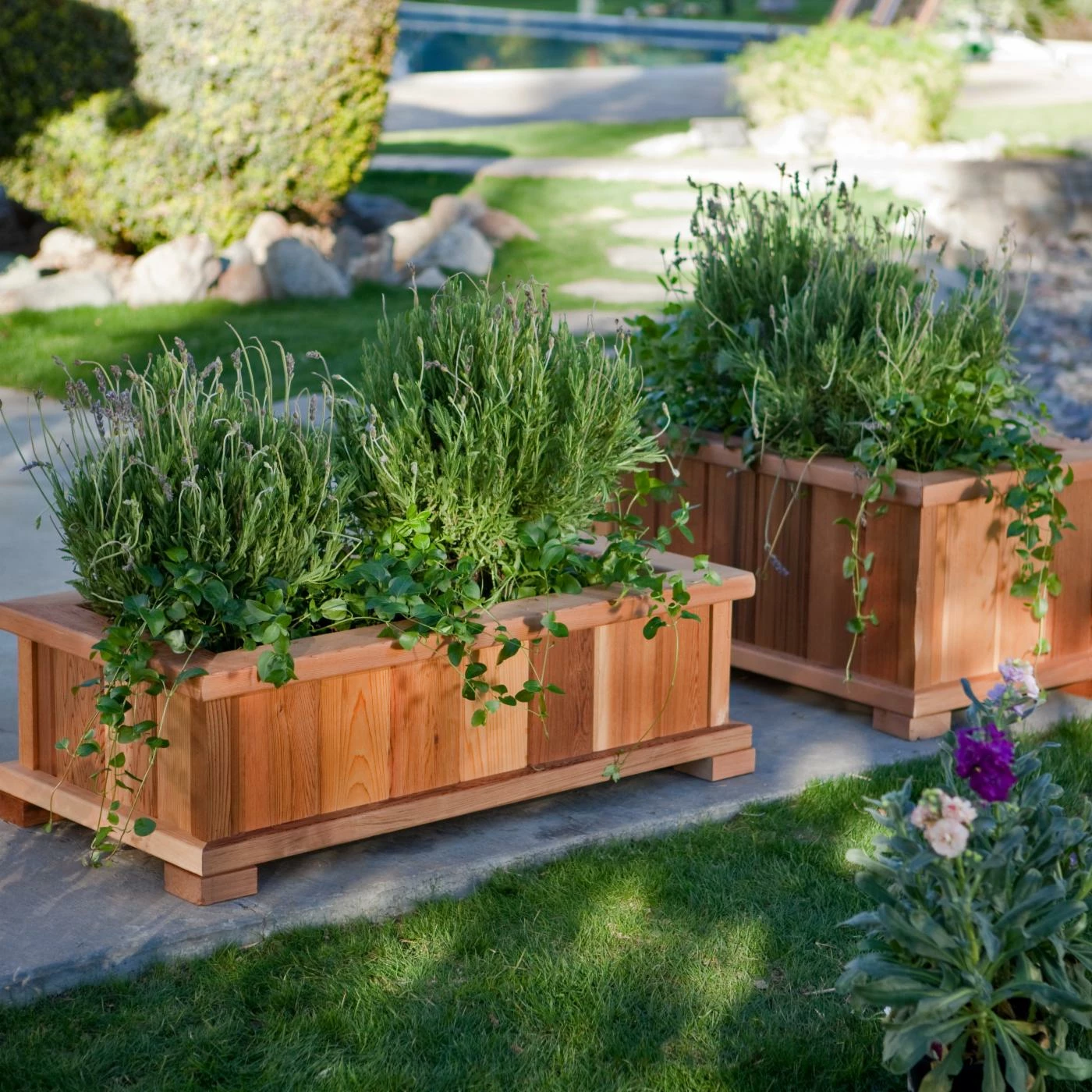 Hot Sale ๐ฏ Commercial Wood Country Rectangle Cedar Wood Boise Patio Planter Box โจ 2 Hot Sale ๐ฏ Commercial Wood Country Rectangle Cedar Wood Boise Patio Planter Box โจ - Image 2