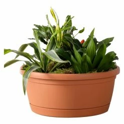 Flash Sale 🌟 Planter Pots Alfresco Home Libis Bowl Planter 😉