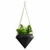 Cheapest 🧨 Hanging Arcadia Garden Diamond Style Air Planter 🔔
