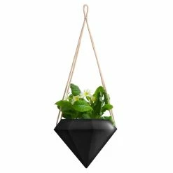 Cheapest ๐งจ Hanging Arcadia Garden Diamond Style Air Planter ๐