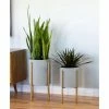 Discount 💯 Planter Sets Aspire Home Accents Nabila Planter - Set Of 2 👍