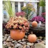 Outlet ✔️ Novelty Athena Garden Pumpkin Planter - Set Of 3 🛒