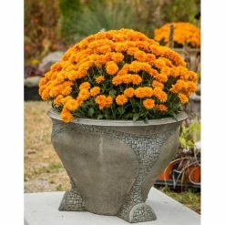 Cheap 🤩 Athena Garden Stone Urn Planter 🤩