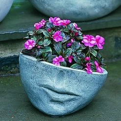 Outlet 👍 Head Campania International Small Faccia Cast Stone Planter 😍