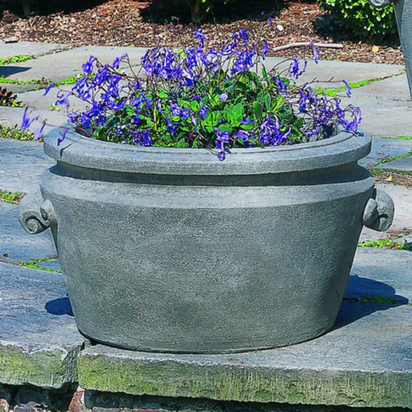 Buy β€οΈ Planter Pots Campania International Scroll Handle Tub Cast Stone Planter π 1 Buy β€οΈ Planter Pots Campania International Scroll Handle Tub Cast Stone Planter π