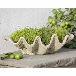 Deals 🥰 Novelty Campania International South Seas Cast Stone Planter 🧨