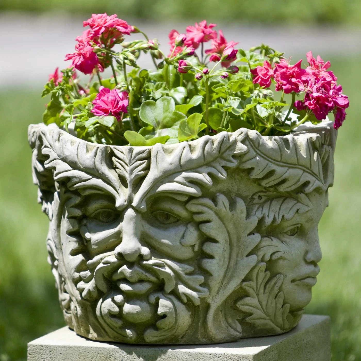 Budget β Head Campania International Sylvan Cast Stone Planter 𧨠1 Budget β Head Campania International Sylvan Cast Stone Planter π§¨