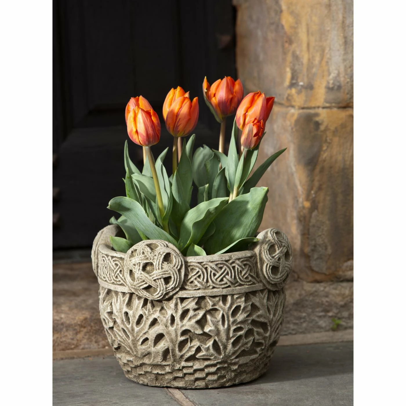 Top 10 β€οΈ Novelty Campania International Garth Cast Stone Planter π 1 Top 10 β€οΈ Novelty Campania International Garth Cast Stone Planter π