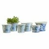 Buy 🔥 Novelty Campania International Flared Planter - Set Of 6 - Blue/White Mix 💯