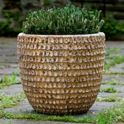 Flash Sale 👏 Novelty Campania International Dimple Glaze Planter - Set Of 3 🌟