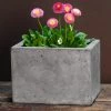 Deals 🥰 Planter Sets Campania International Geo Planter - Set Of 4 - Natural Fiber Cement 🔔