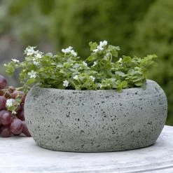 Top 10 😀 Novelty Campania International Kira Cast Stone Planter 👏