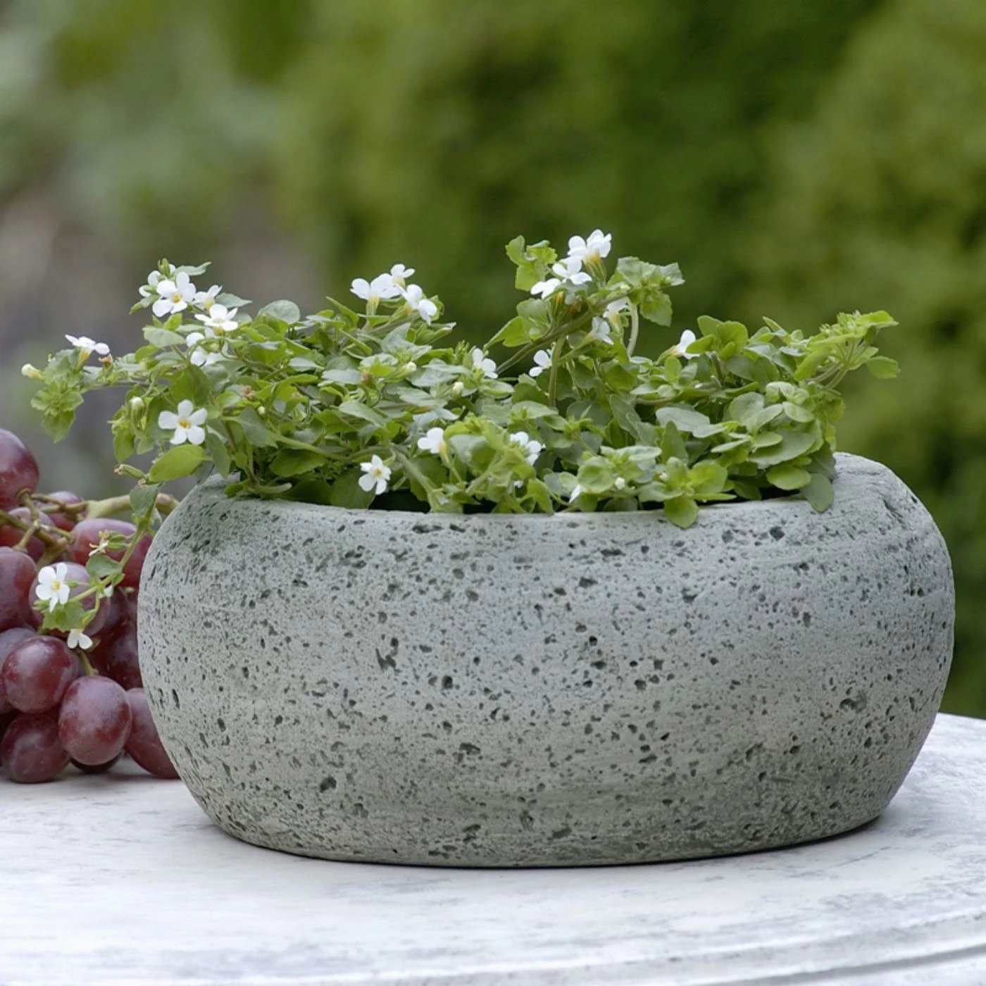 Top 10 ๐ Novelty Campania International Kira Cast Stone Planter ๐ 1 Top 10 ๐ Novelty Campania International Kira Cast Stone Planter ๐