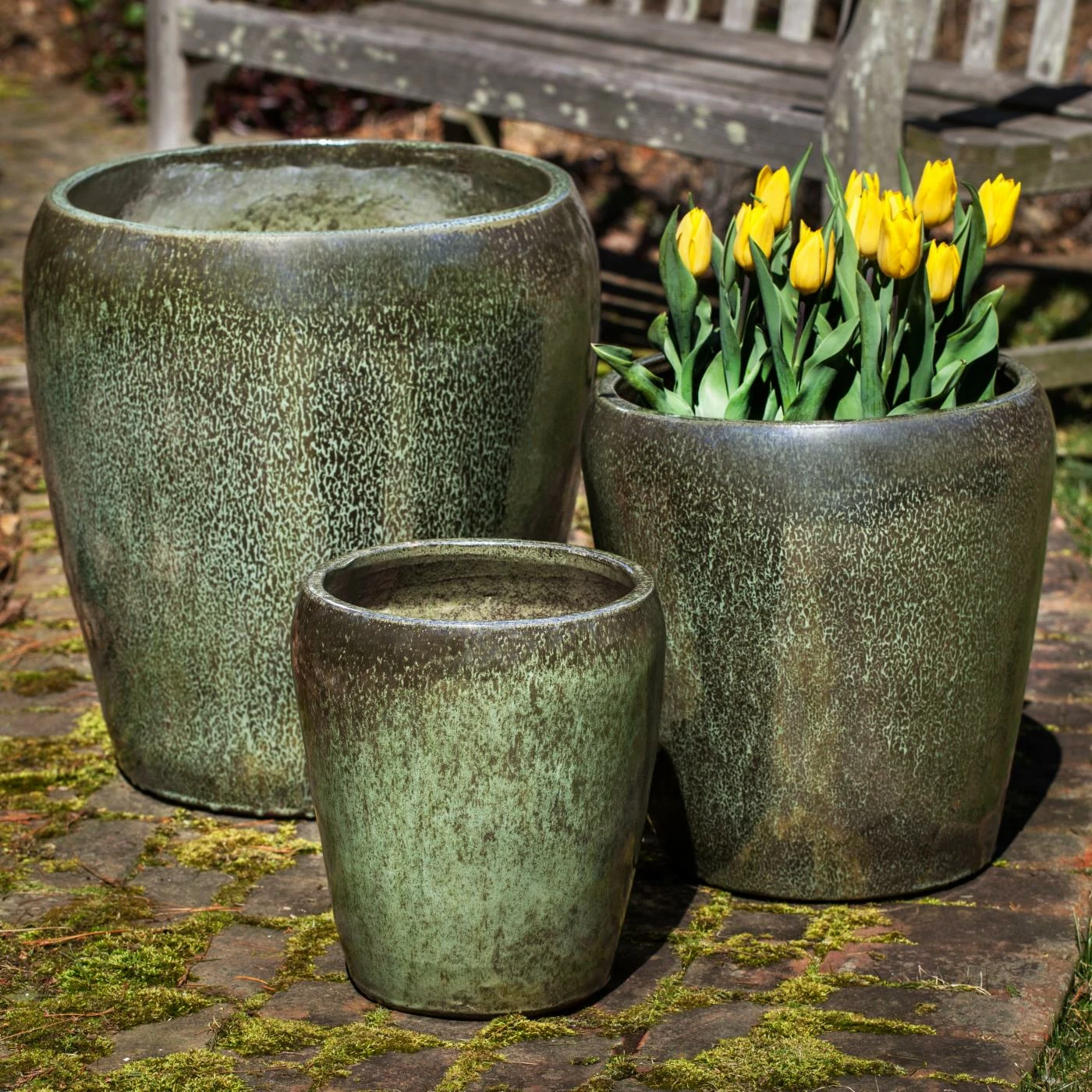 Cheapest ✔️ Novelty Campania International Ellesmere Round Planter - Set Of 3 ⭐ 1 Cheapest ✔️ Novelty Campania International Ellesmere Round Planter - Set Of 3 ⭐