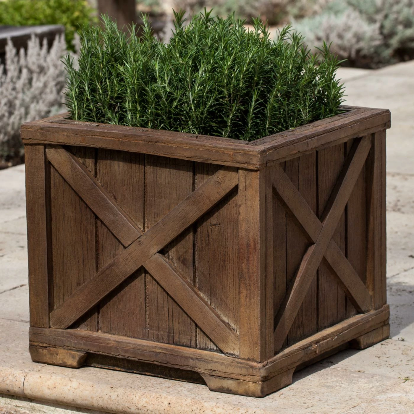 Best reviews of π Commercial Campania International Rustic Versaille Square Planter π 1 Best reviews of π Commercial Campania International Rustic Versaille Square Planter π
