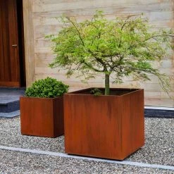 Flash Sale 😉 Planter Sets Campania International Steel Cube Planter - Set Of 2 🔔